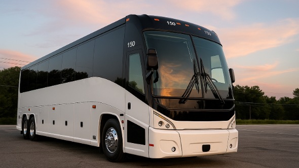santa ana bachelor and bachelorette party bus rentals